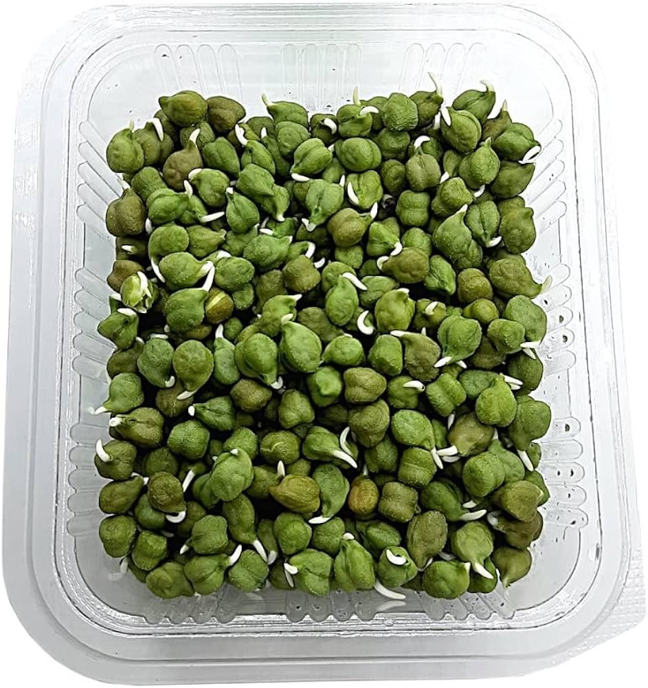 GREEN CHANA