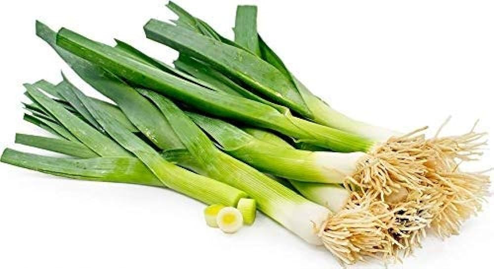 LEEK