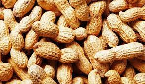 GROUNDNUT