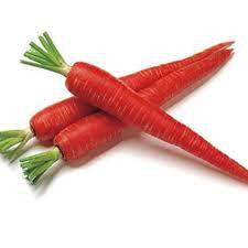 CARROT RED