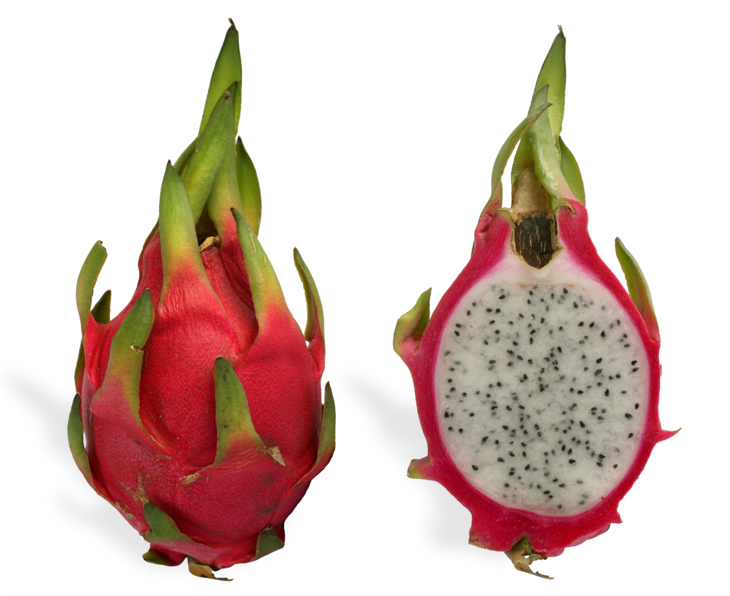 DRAGON FRUITS