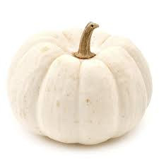 PUMPKIN WHITE