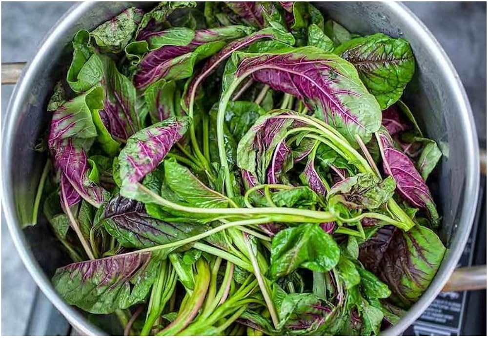 TANDALJA RED -  AMARANTHUS RED