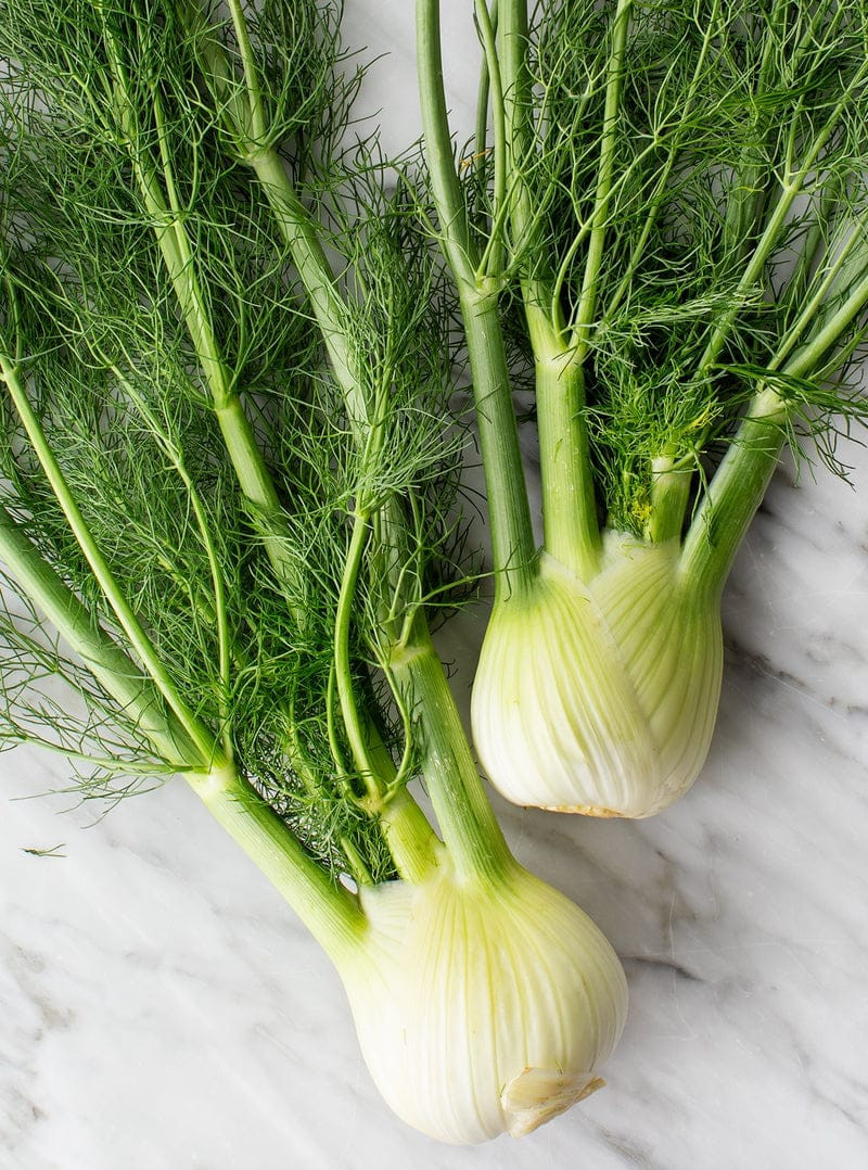 FENNEL
