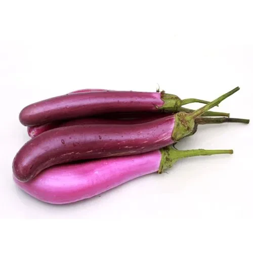 BRINJAL VIOLET LONG