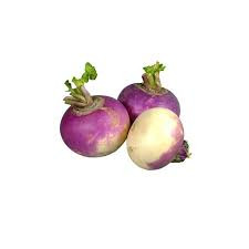 SALGUM ( TURNIP )