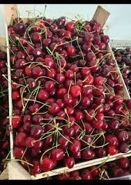 CHERRY IMPORTED PKD