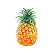 PINEAPPLE
