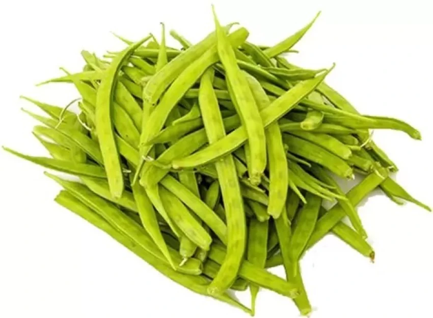 CLUSTER BEAN- GAVAR