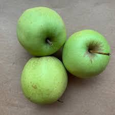 APPLE GREEN ( GOLDEN APPLE INDIAN )