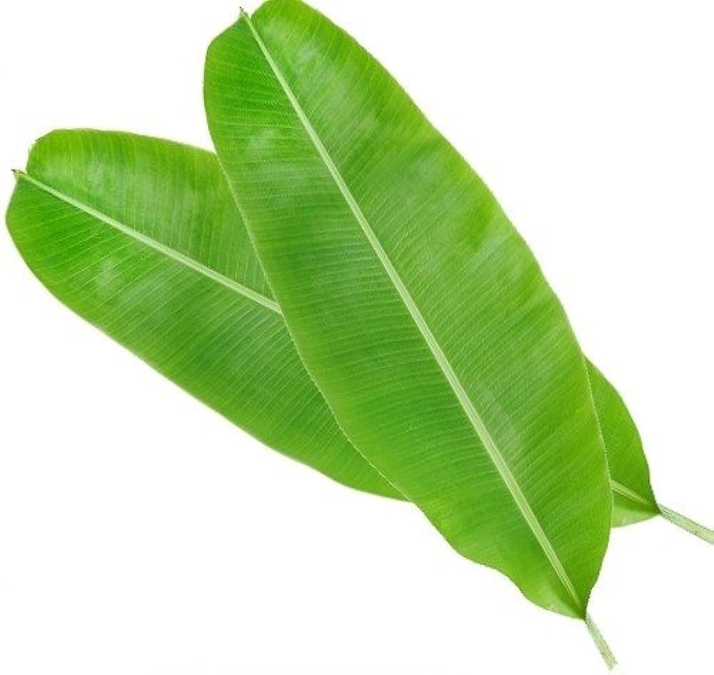 BANANA LEAVES KALLA PATTA