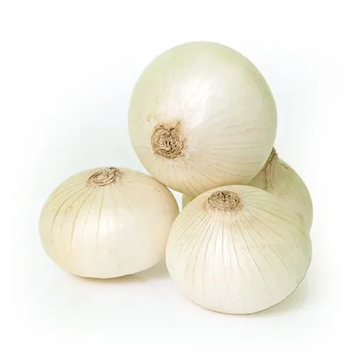ONION WHITE