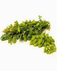 GREEN CHANA PEELED ( DANA )