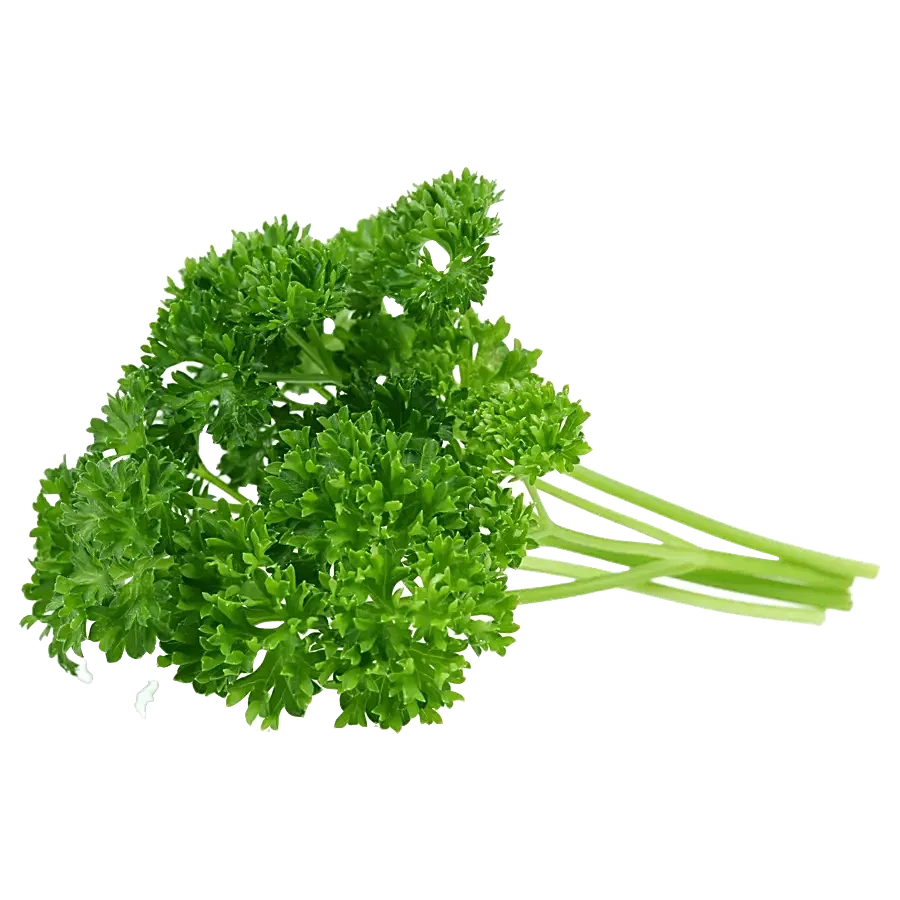 PARSLEY