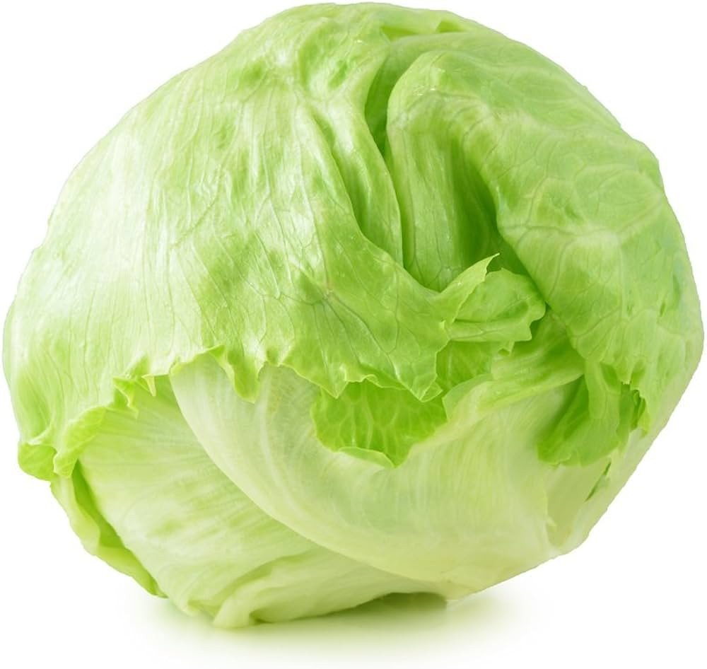 LETTUCE ICEBURG