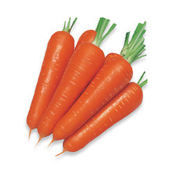 CARROT BANGLORE