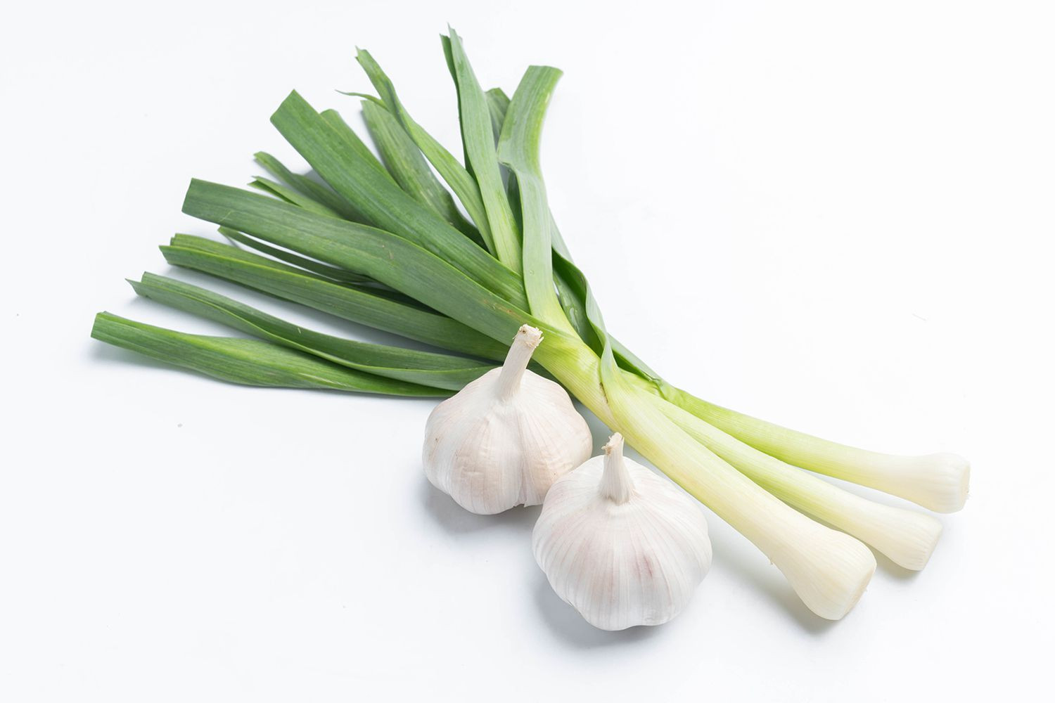 GARLIC GREEN