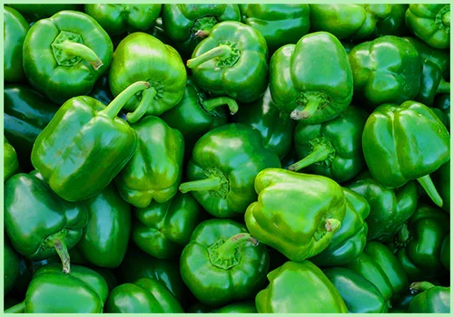CAPSICUM GREEN