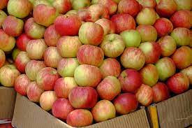 APPLE HAJARATBAL